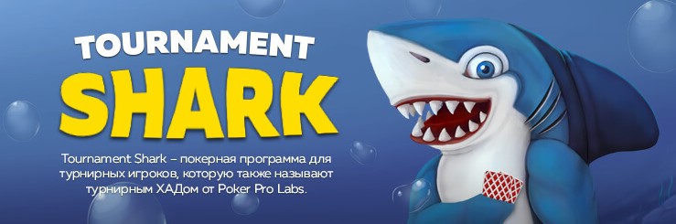 Tournament Shark